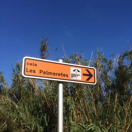 Sueno El Campello
